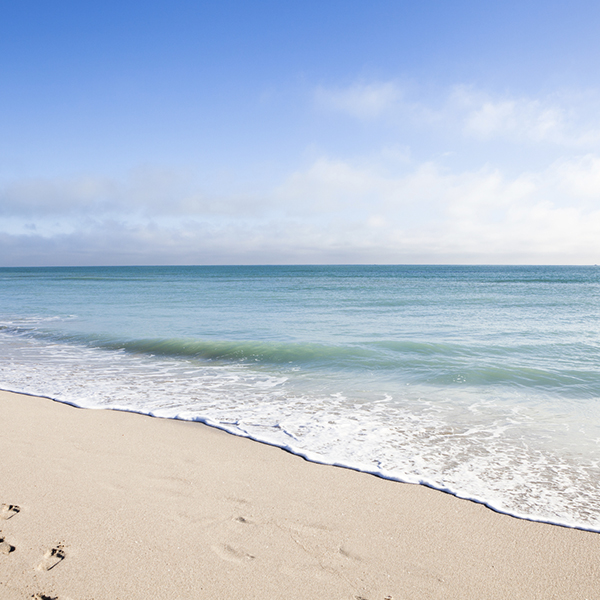 Scatter ashes at the beach